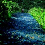 Achaia Clauss - Bike Friendly