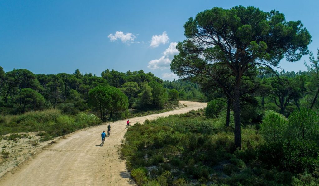 Cycling Tour