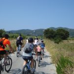 The Corfu Giant Mountain Bike Shop - Bike Friendly Partner