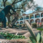 Castelli Hotel - Bike Friendly