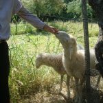 Castelli Hotel - Bike Friendly