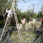 Castelli Hotel - Bike Friendly