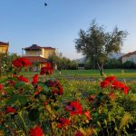 Phyllida Guest Houses - Bike Friendly