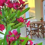 Phyllida Guest Houses - Bike Friendly